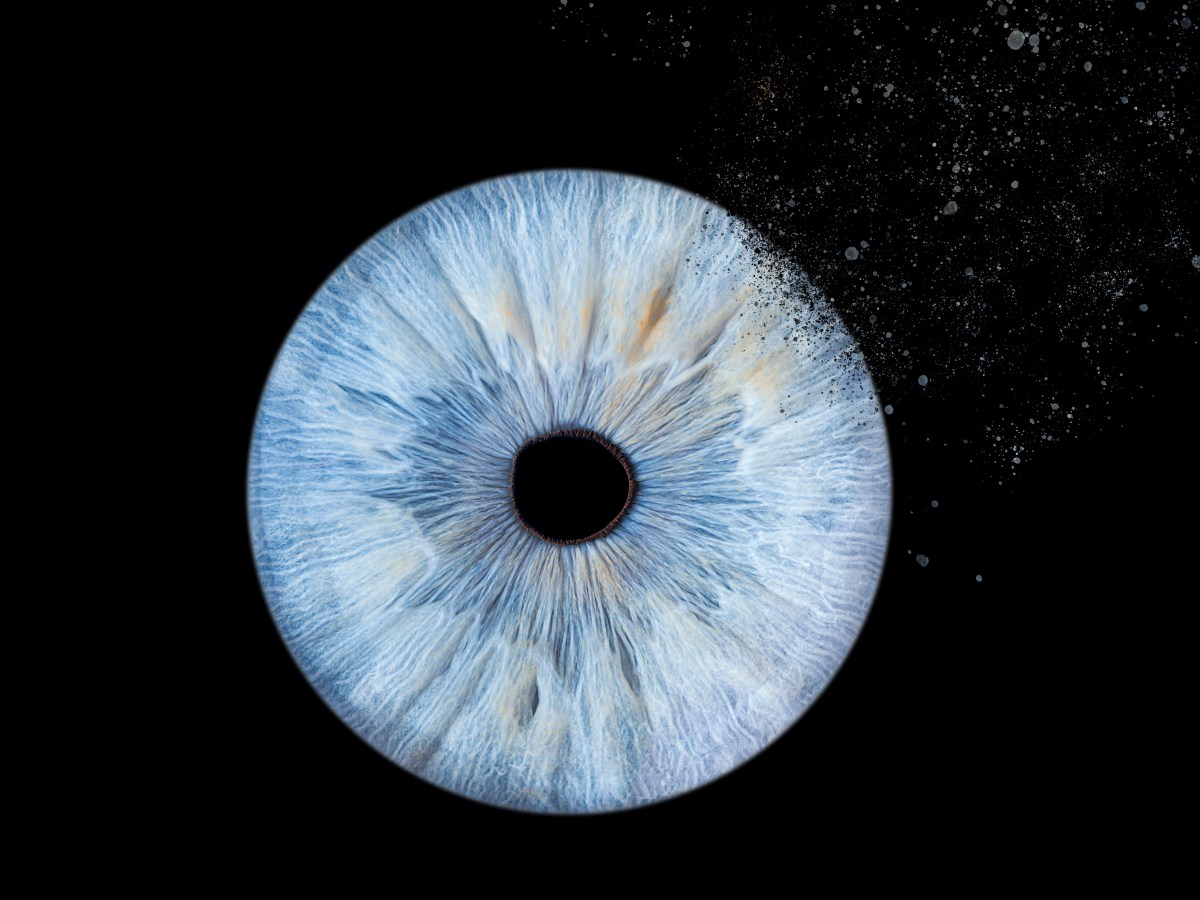 Pourquoi se faire photographier l’iris&nbsp;?