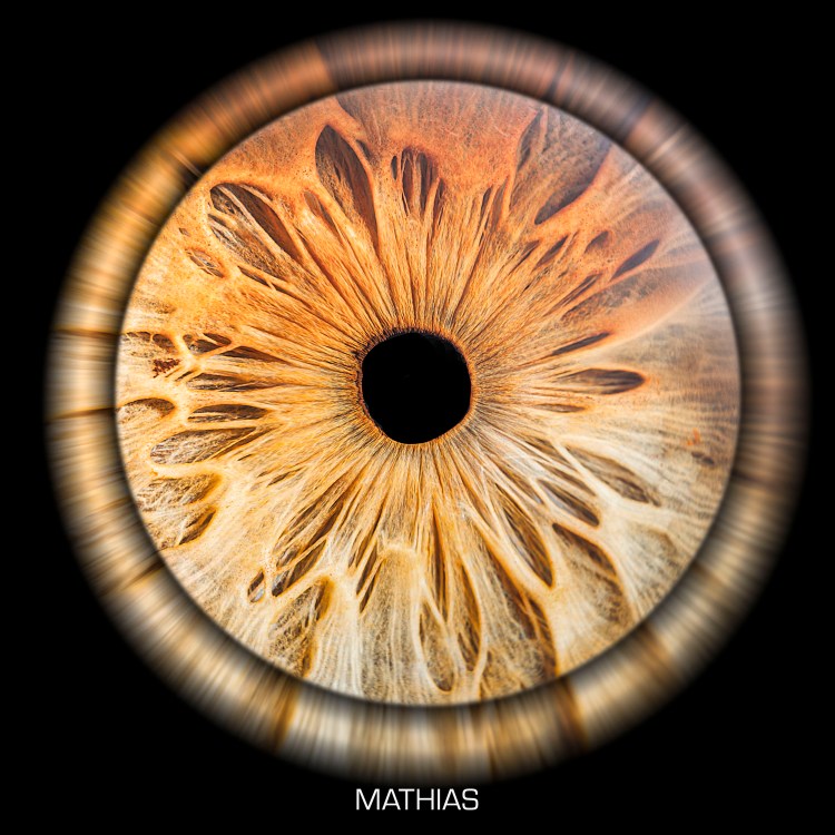 photo iris - dijon -cote d'or -bourgogne