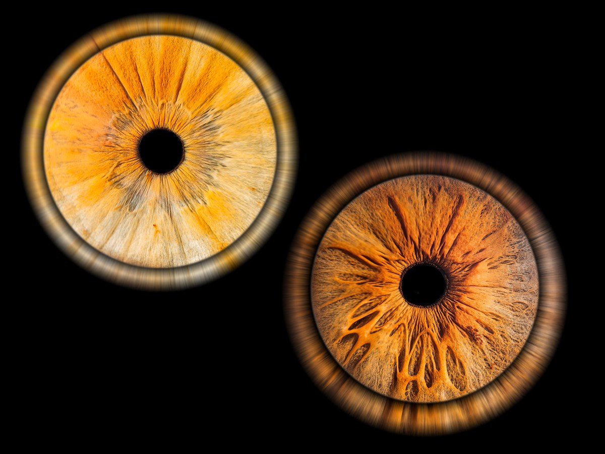 Photographie d’iris à Dijon, Beaune et Dole : chaque regard devient une œuvre&nbsp;unique