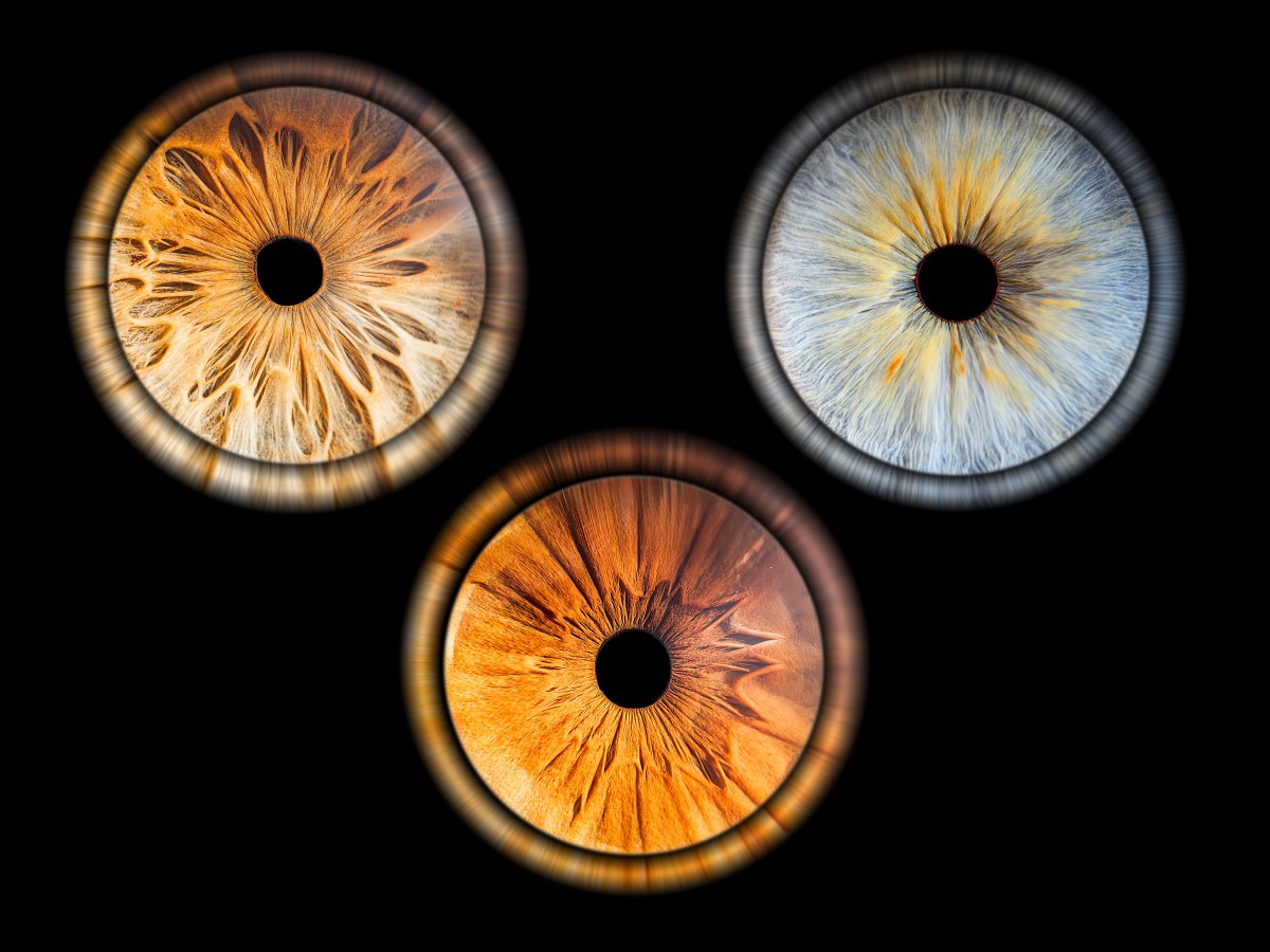 La photographie d’iris en Bourgogne : une nouvelle façon de voir l’art et le&nbsp;portrait